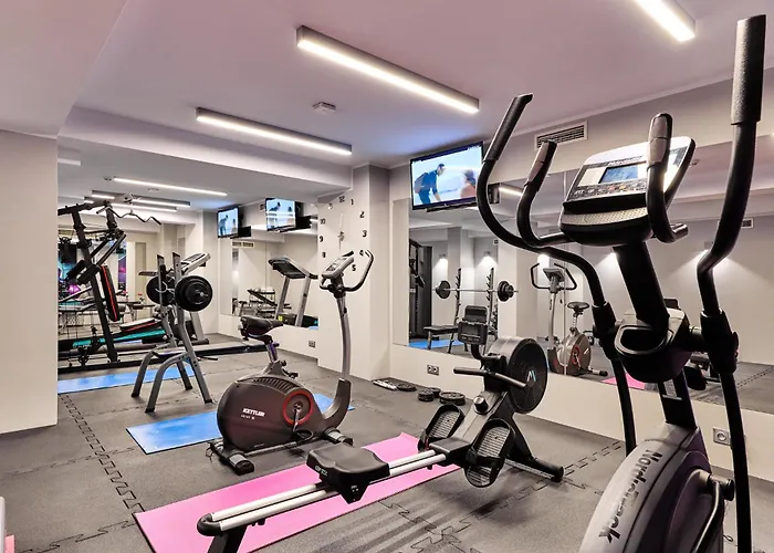 酒店 波兹南德席尔瓦高级酒店 波兹南