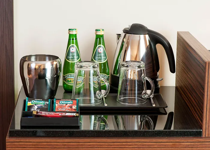 波兹南德席尔瓦高级酒店 酒店