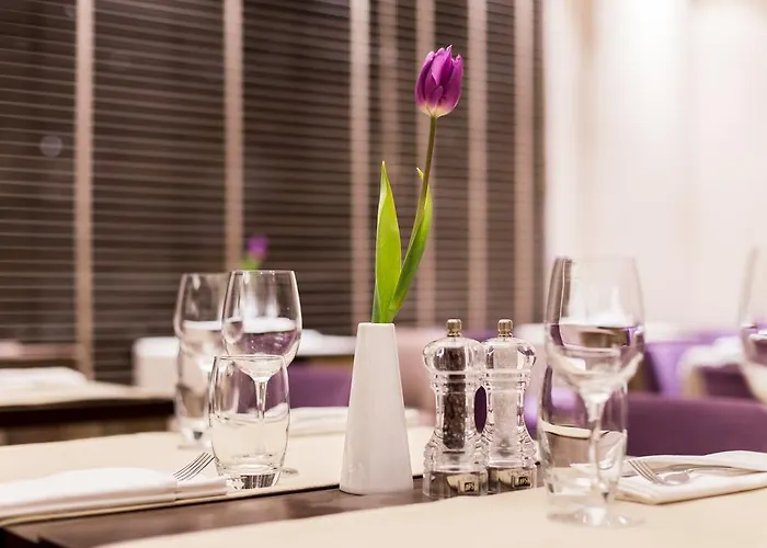 波兹南德席尔瓦高级酒店 酒店 波兹南