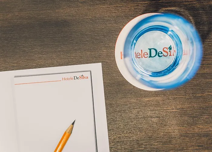 酒店 波兹南德席尔瓦高级酒店 4*